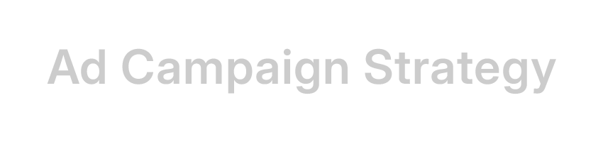 Ad Campaign Strategy